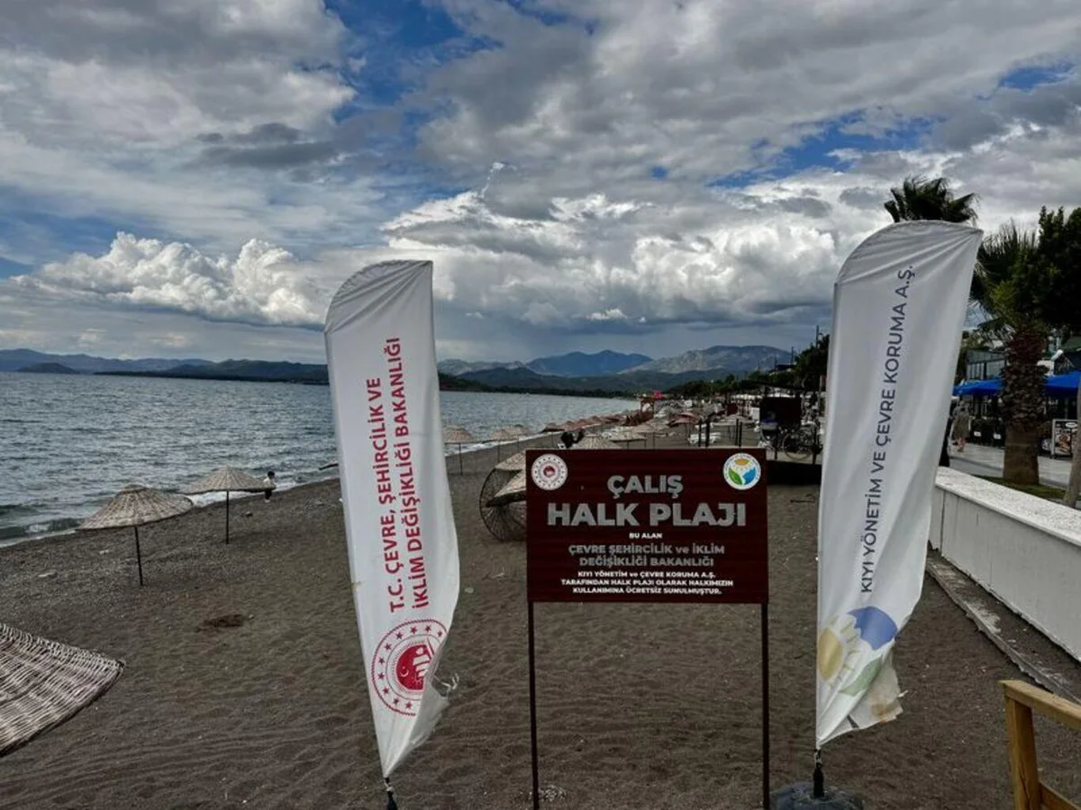 Fethiye'de yaklaşık 6 bin caretta caretta yavrusu denizle buluştu — 9. fotoğraf