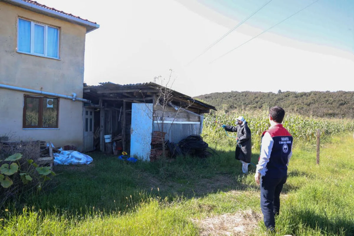 Müdürlükçe temin edilen ilaçlarla, mahalle sakinleri, kahverengi kokarcanın kışlamak için sığındığı evlerin çevresini, çatı aralarını, kapı ve pencere kenarlarını, fındık bahçelerindeki yapıları ve zararlının yoğun olarak görüldüğü alanları ilaçladı.