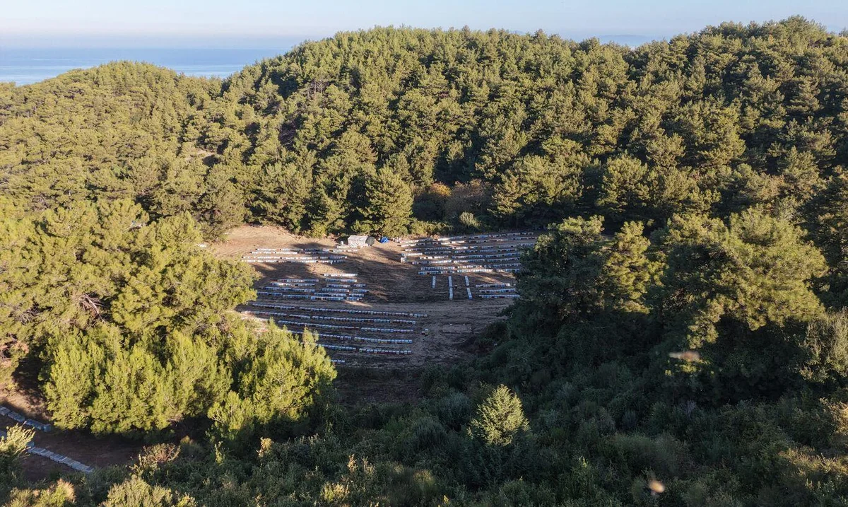 Düşük glikoz ve früktoz oranına sahip olan yüksek mineral ve antioksidan içeriğiyle öne çıkan doğal çam balının kalp damar sağlığından cilt güzelliğine kadar etkili olduğunu ifade edildi.