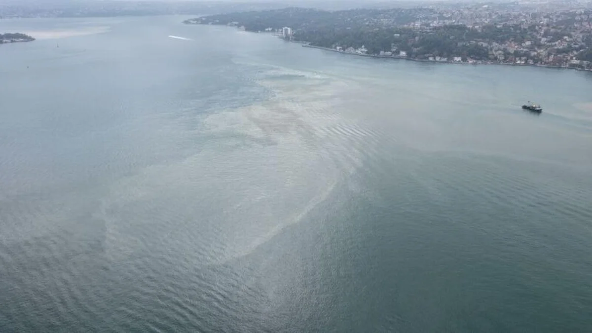 İstanbul'da sağanak yağışın ardından, İstanbul Boğazı'nın bazı kıyı kesimlerinde denizin rengi kahverengiye döndü.