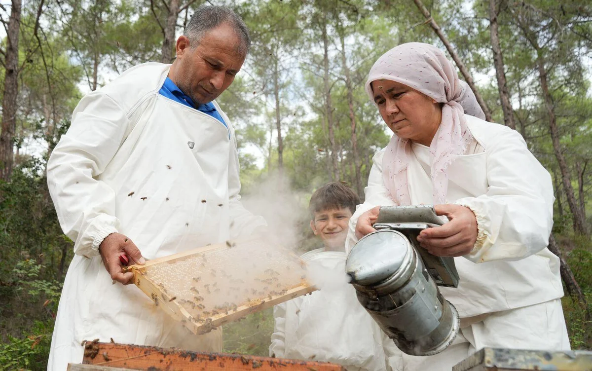 Eşiyle arıcılık yapan Meliha Say da" Arılarımız doğadan balı en doğal haliyle kovanımıza getiriyor. Biz de bunu bozmadan en doğal haliyle sofralarımıza aracısız gönderiyoruz. Bu yıl da çok bereketli oldu. Çok mutluyuz" ifadelerini kullandı.