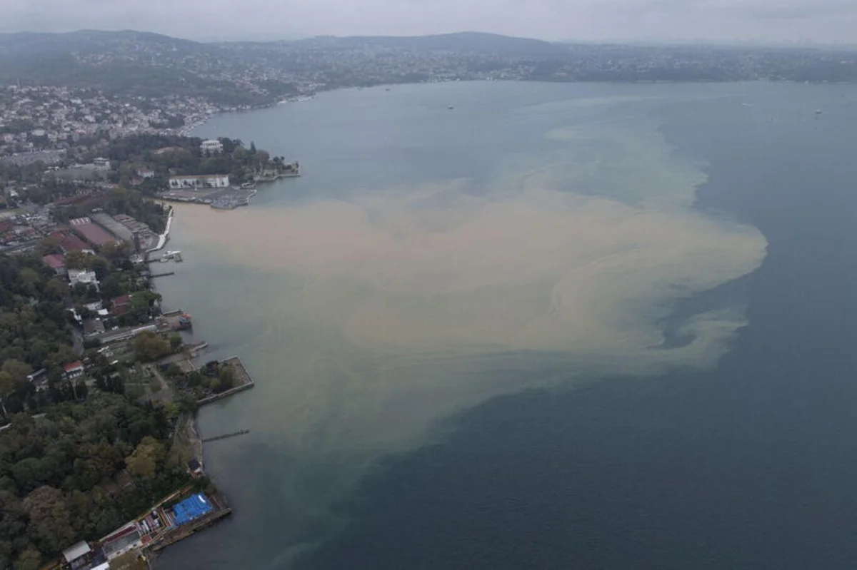 Özellikle Eminönü sahilinde belirginleşen kahverengiliğin, kıyıdan yaklaşık 200 metre açığa kadar yayıldığı gözlendi.