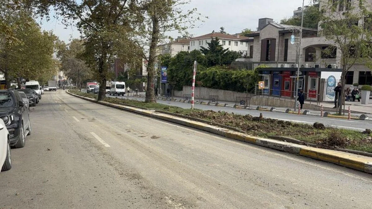 Eyüpsultan'da tramvay hattı çalışması için ağaçların kesildiği iddiasına vatandaşlardan tepki — 5. fotoğraf