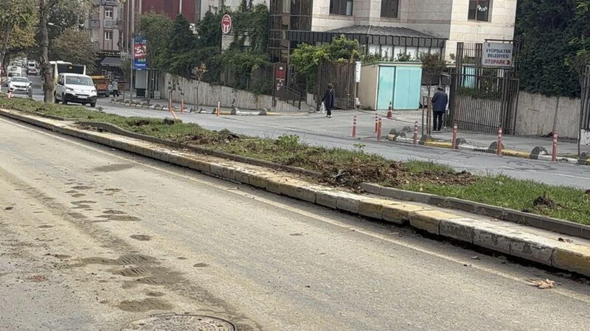 Eyüpsultan'da tramvay hattı çalışması için ağaçların kesildiği iddiasına vatandaşlardan tepki — 8. fotoğraf