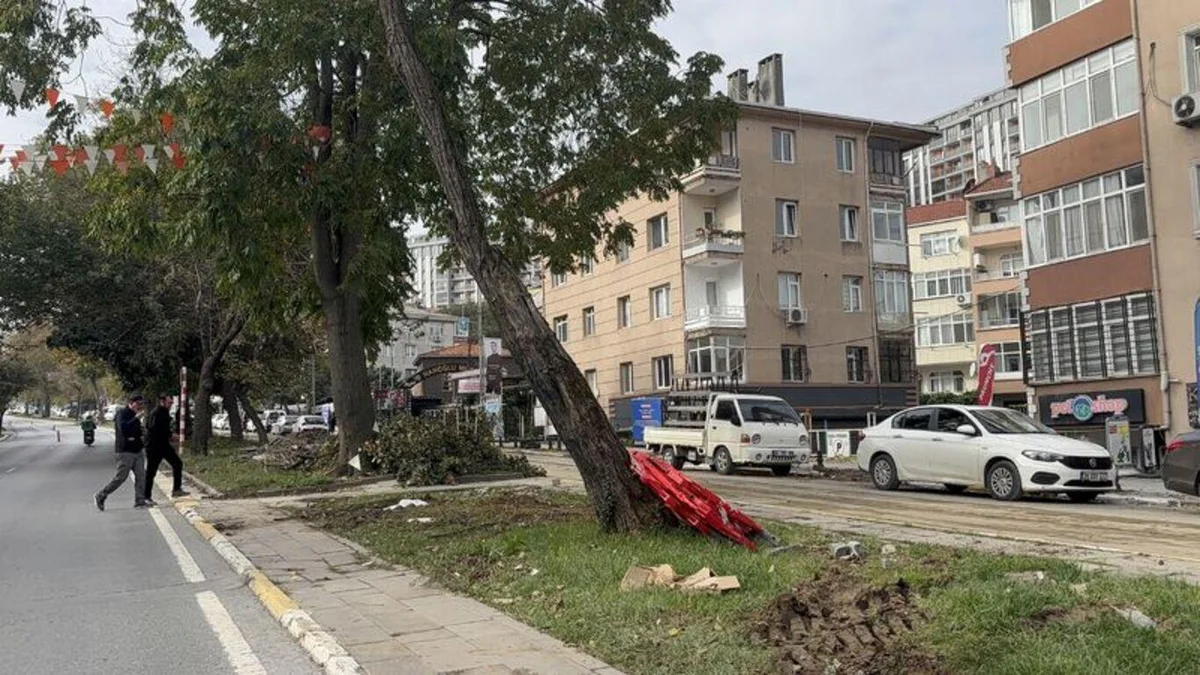 Eyüpsultan'da tramvay hattı çalışması için ağaçların kesildiği iddiasına vatandaşlardan tepki — 3. fotoğraf