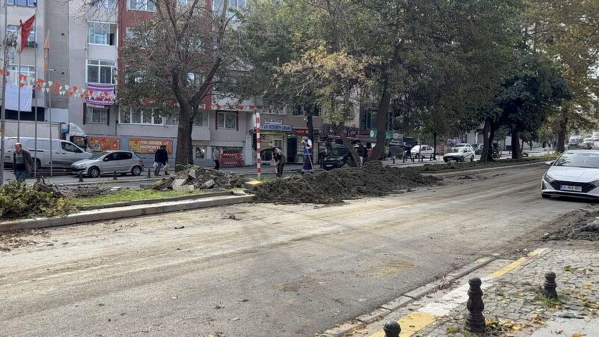 Eyüpsultan'da tramvay hattı çalışması için ağaçların kesildiği iddiasına vatandaşlardan tepki — 9. fotoğraf
