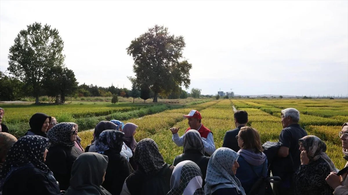 Dodurga'dan 45 kadın çiftçi Edirne ve Çanakkale'de 4 günlük inceleme gezisine katıldı