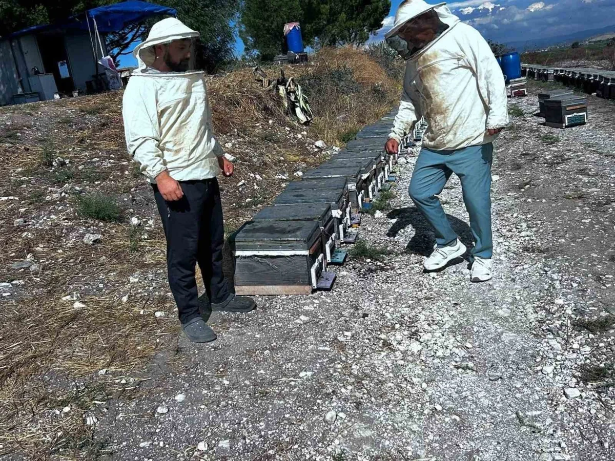 Aydın Didim'de Tarım ve Orman ekipleri arıcıların taleplerini sahada değerlendiriyor