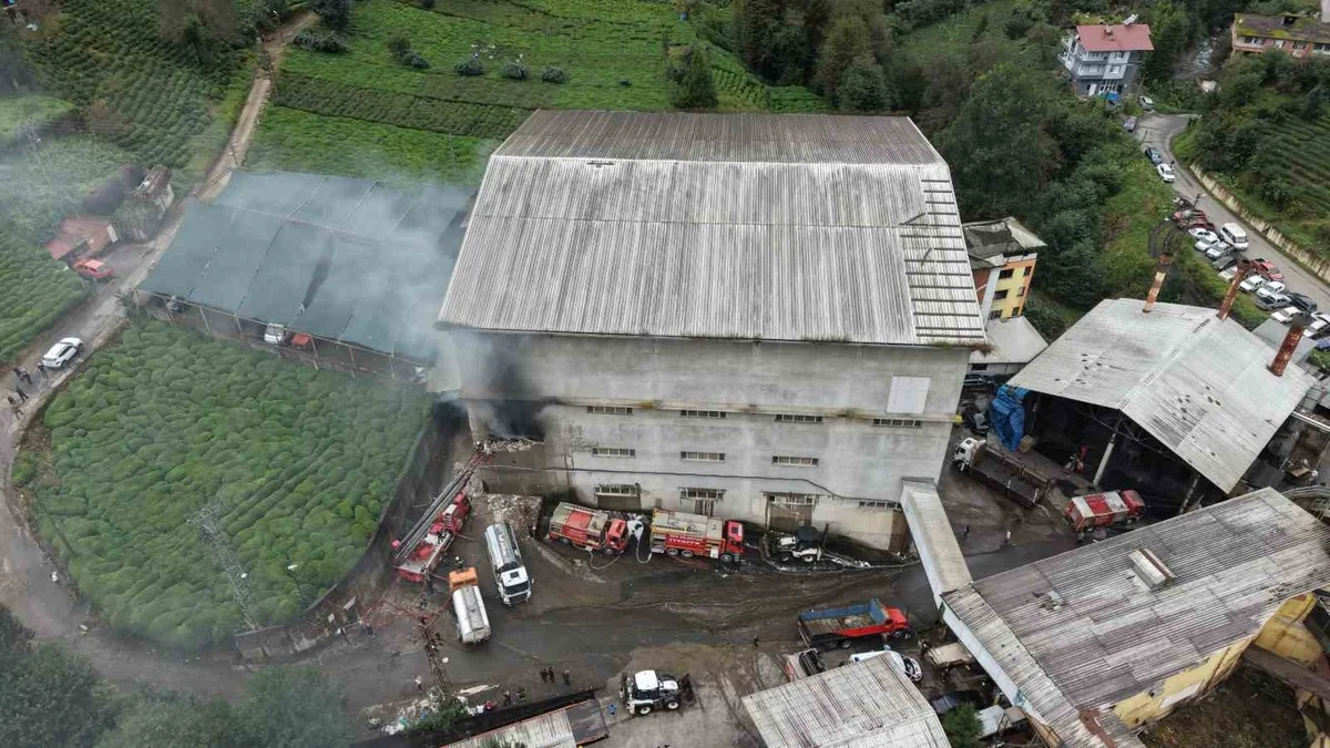 Rize Çayeli'de Okumuş Çay Fabrikası'nın ambalaj deposundaki yangında can kaybı olmadı