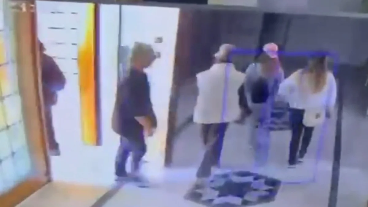 Küçükçekmece'de 4 şüpheli 12'nci kattaki daireye giremedi, kedi Mucize engelledi