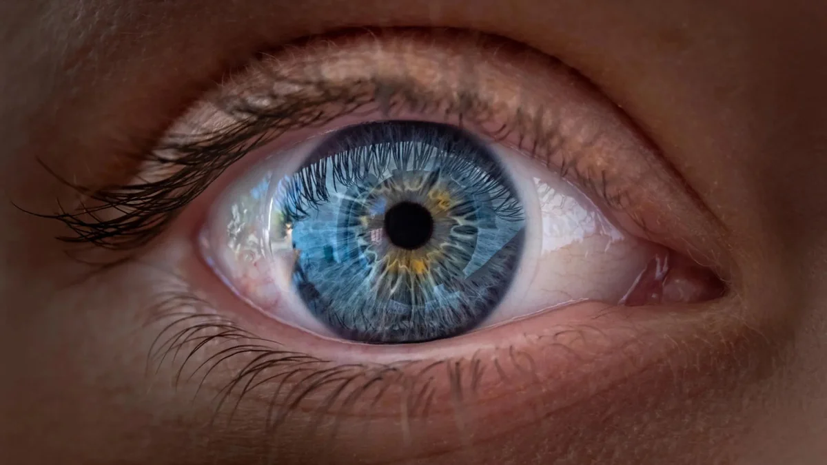 Yapay zeka retina taraması biyolojik yaşlanmayı ve gizli hastalıkları erken saptıyor