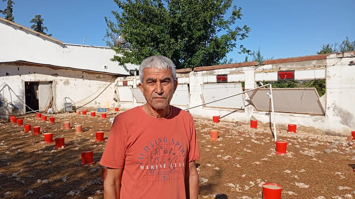 Adana İmamoğlu'nda hortumda yaklaşık 20 bin civciv öldü, çiftlikler zarar gördü