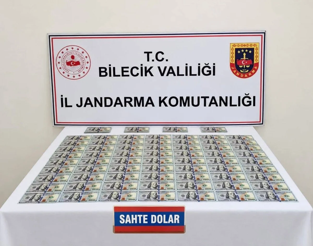 Bilecik'te jandarmanın durdurduğu araçta 202 sahte Amerikan doları bulundu