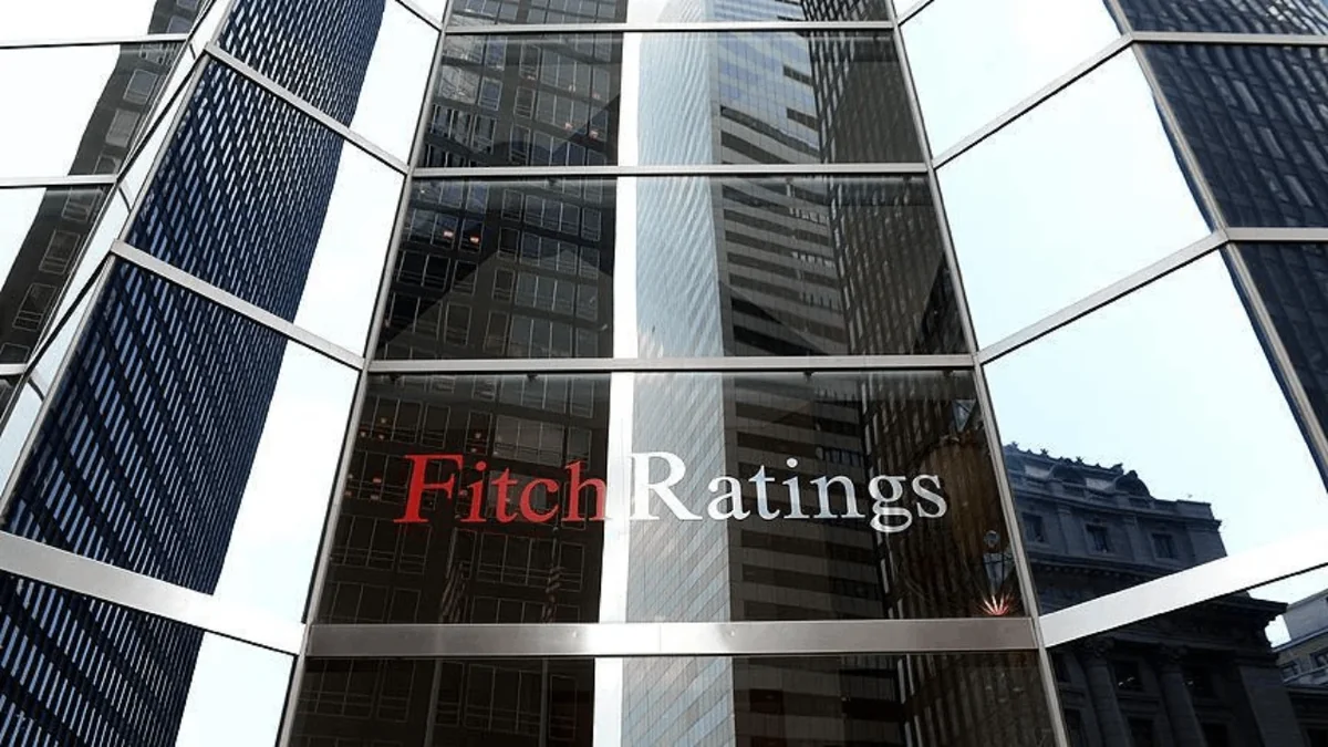 Fitch Ratings: Sistemik risk beklemiyoruz