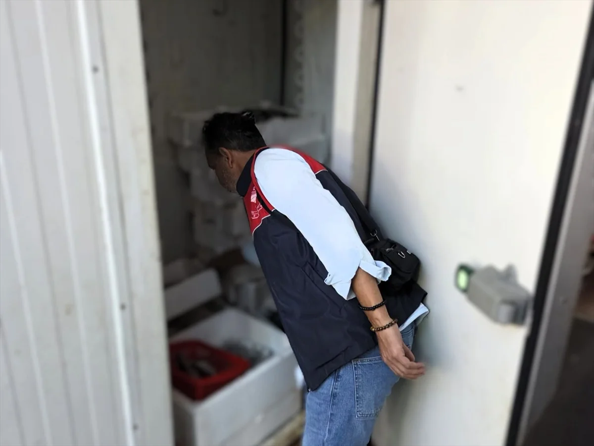 Kırklareli Lüleburgaz'da balık tezgahları denetlendi, ekipler olumsuzluk bulmadı