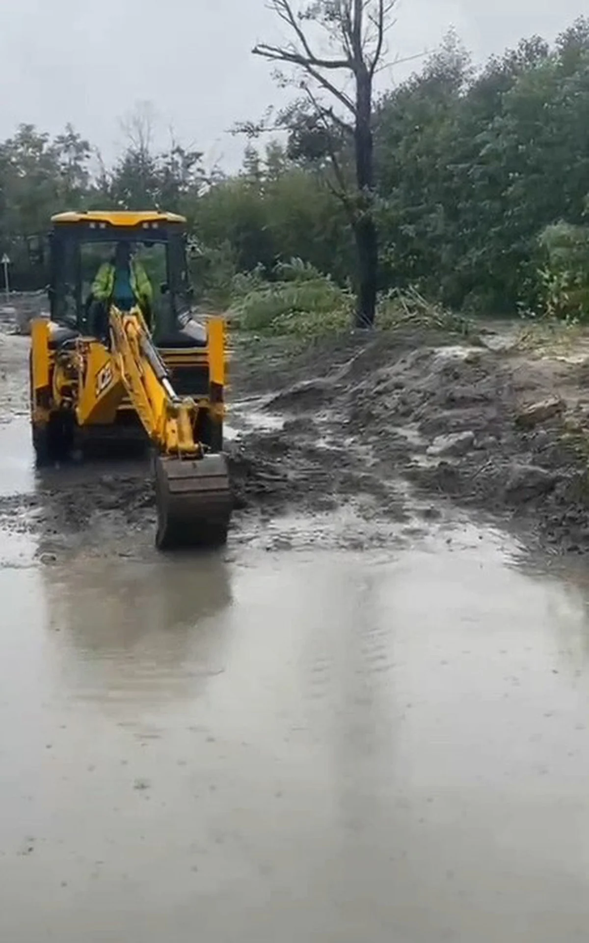 Sapanca'da sağanak dereleri taşırdı, bazı evleri su bastı; can kaybı olmadı