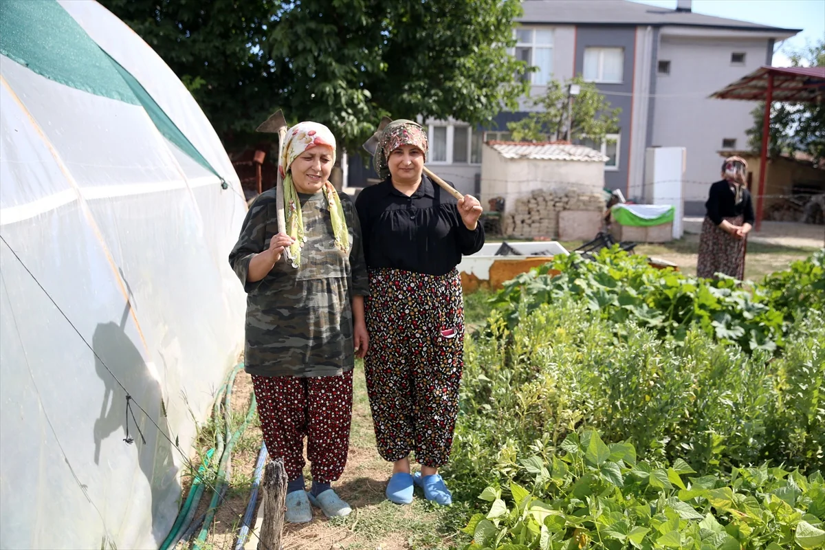 Kastamonu'da Emine Sağlıklı, 120 kediye bakarak kanseri atlattığını düşünüyor