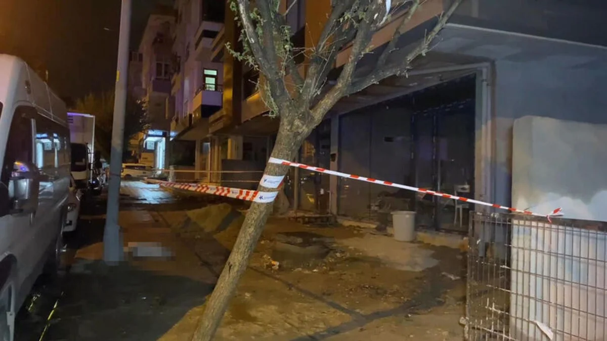 Küçükçekmece'de akıma kapılan köpek öldü, sahibi yaralandı