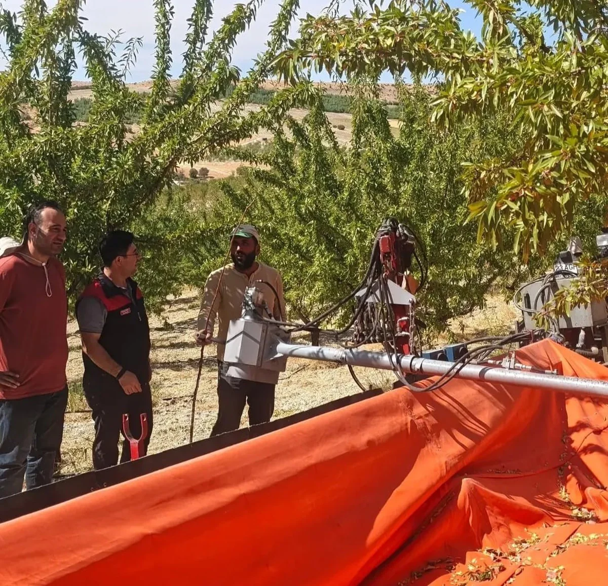 Ağın'da Tarım ve Orman ekipleri badem üreticilerini hasat konusunda bilgilendirdi