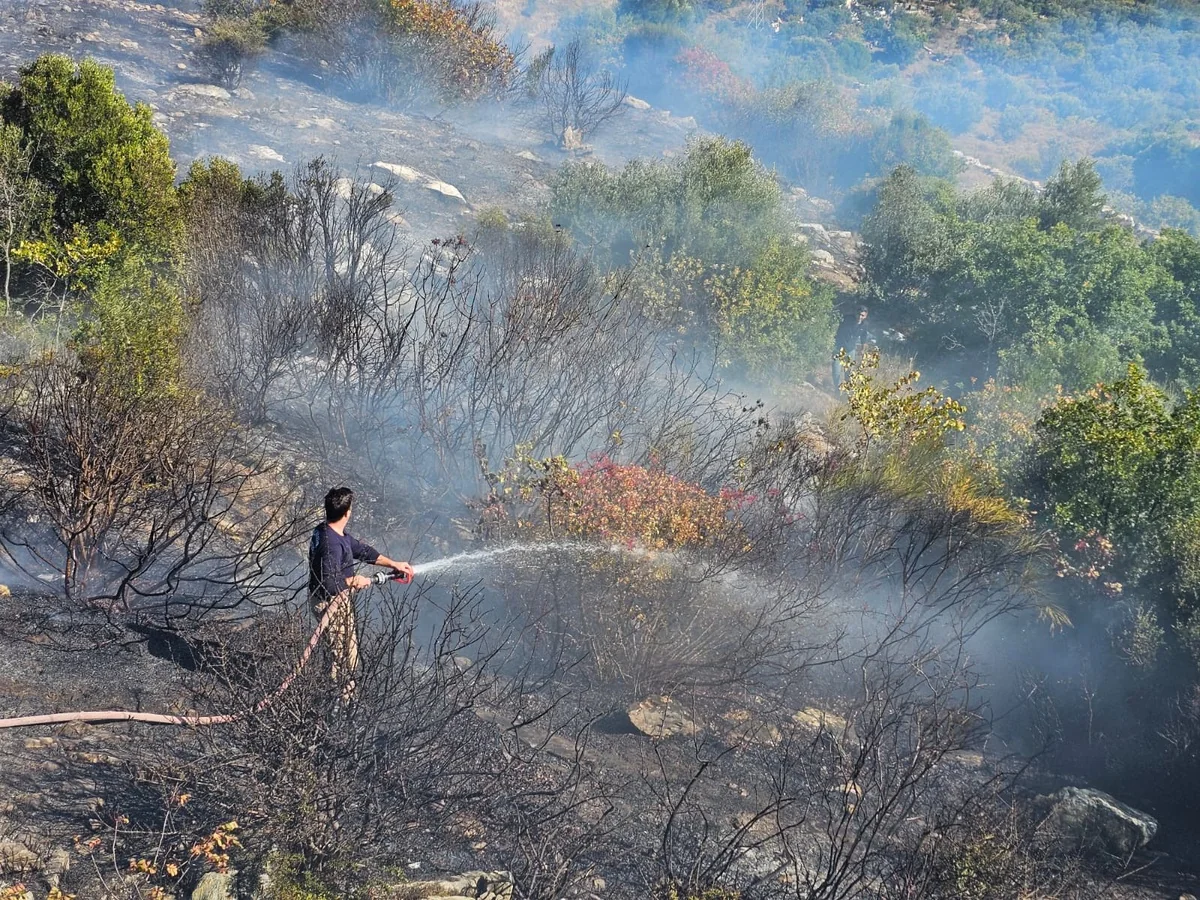 Balıkesir Marmara'da Keltepe'deki çalılık yangını yarım saatte kontrol altına alındı