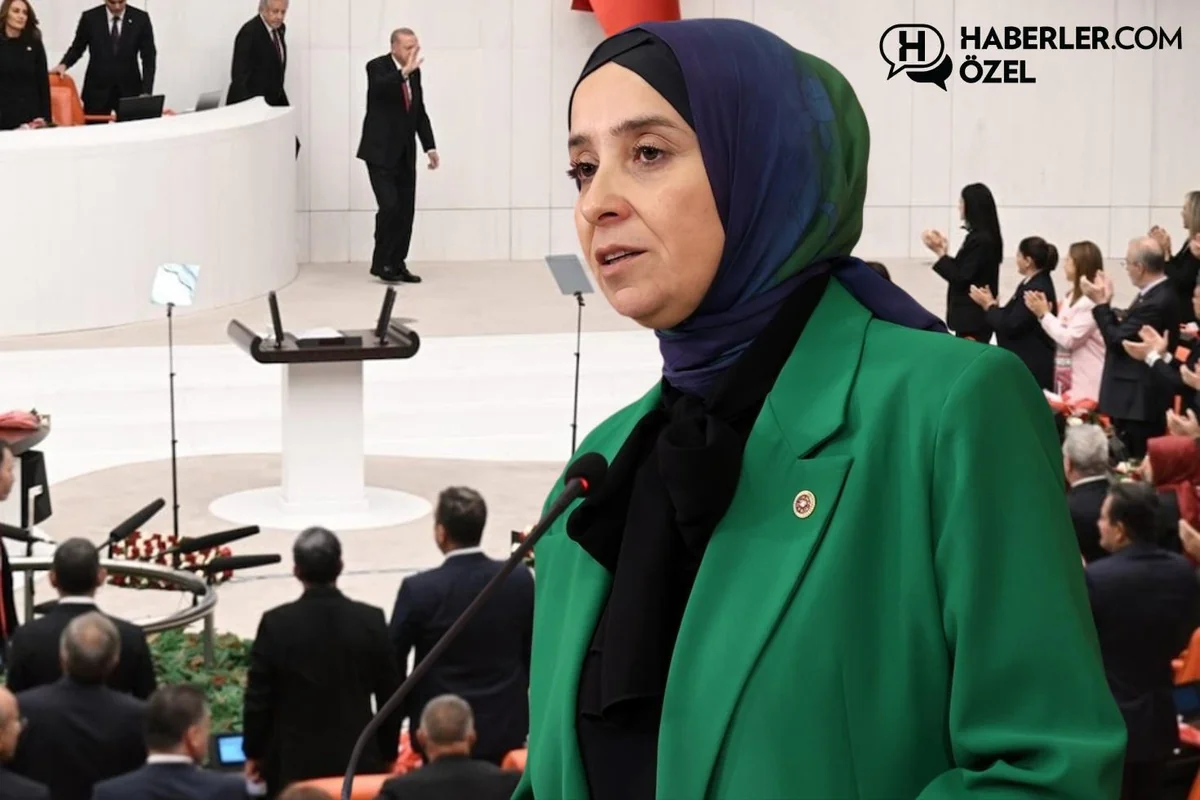 Cumhurbaşkanı Erdoğan Meclis'e geldiğinde ayağa kalkacaklar mı? DEVA Partisi kararını verdi