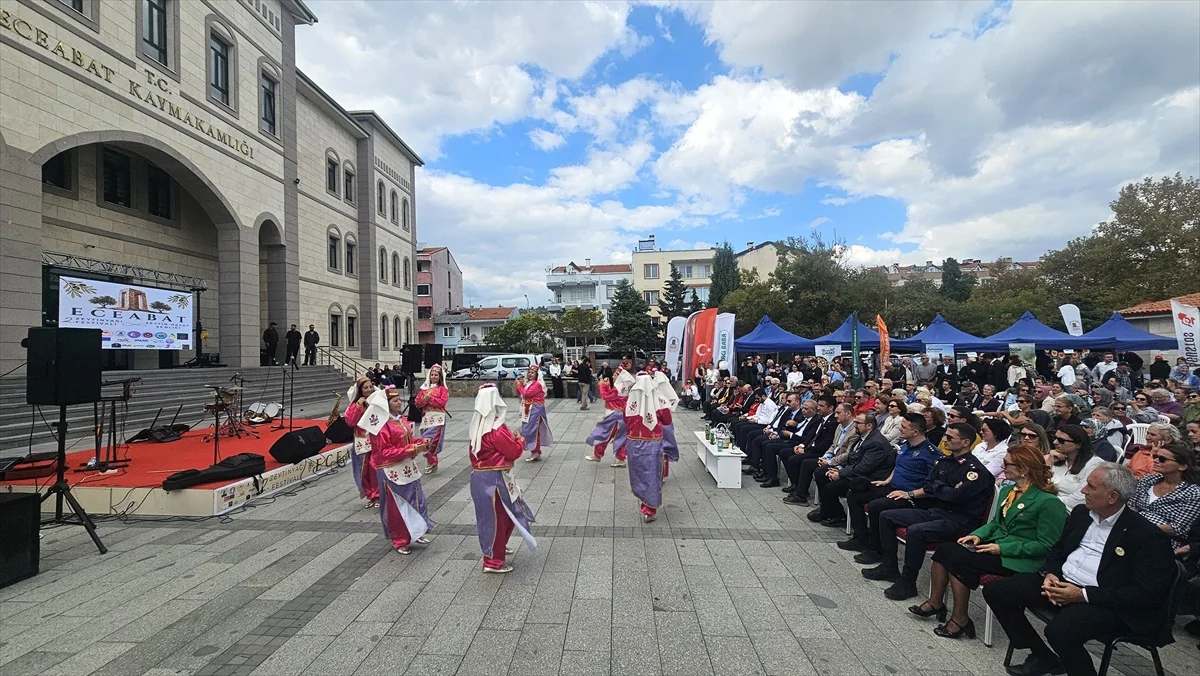 Eceabat'ta zeytinyağı festivali düzenlendi, zeytin alanı 19 bin 228 dekara çıktı