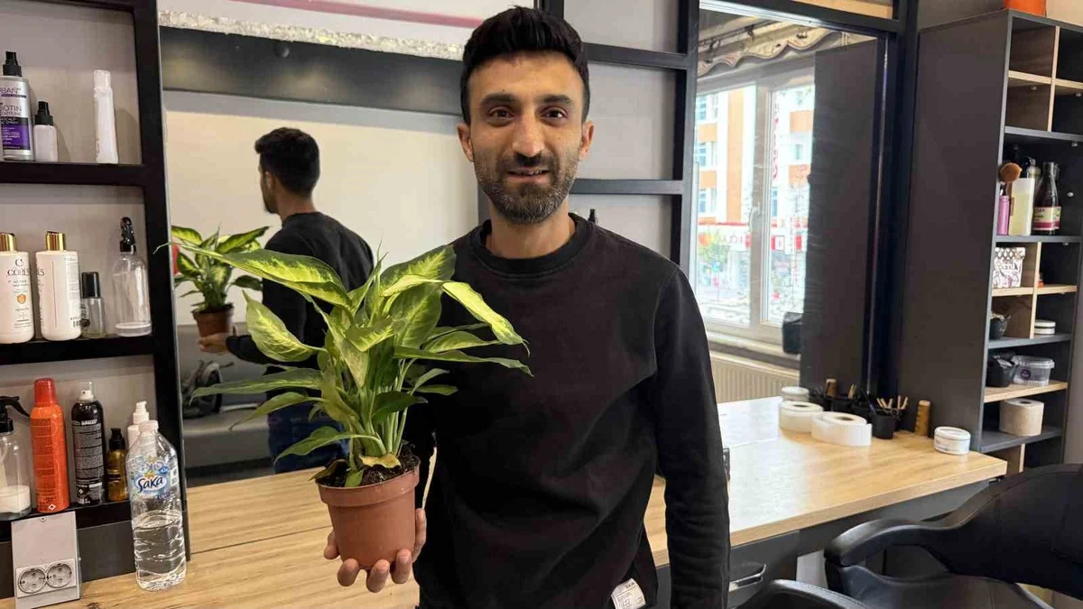 Evlerde süs bitkisi olarak yetiştiriliyor! 'Ağlayan çiçeği' yiyen 2 yaşındaki çocuk yoğun bakıma kaldırıldı