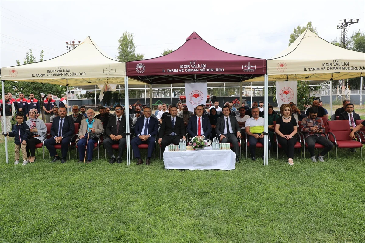 Iğdır'da 160 üreticiye 40 ton buğday tohumu dağıtıldı