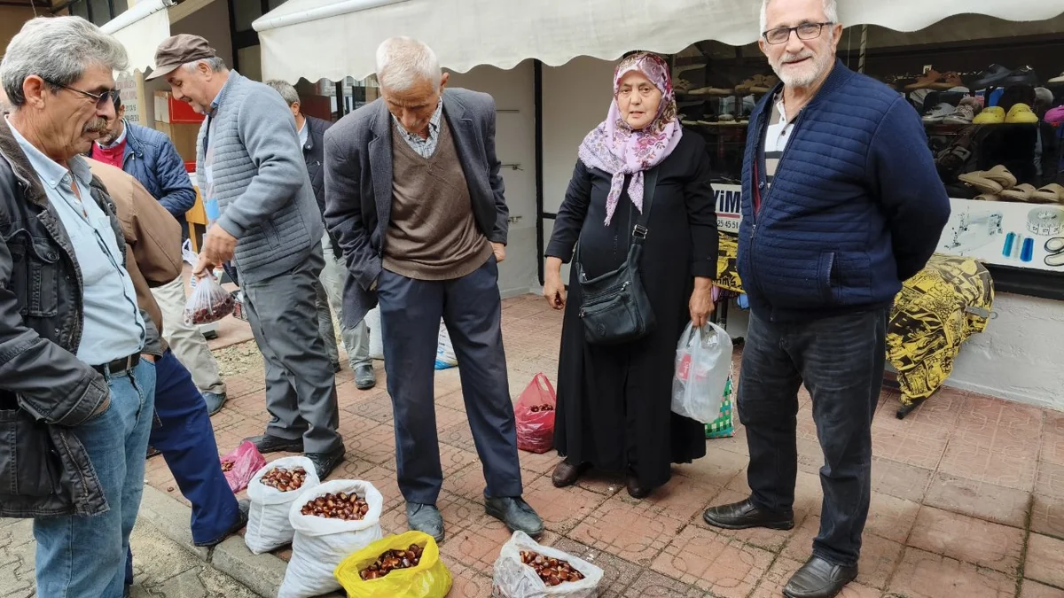Dünyaca ünlü Erfelek kestanesi tezgahlarda! Kilosu 800 liraya kadar çıkıyor