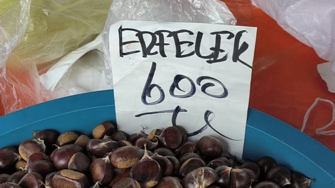 Dünyaca ünlü Erfelek kestanesi tezgahlarda! Kilosu 800 liraya kadar çıkıyor