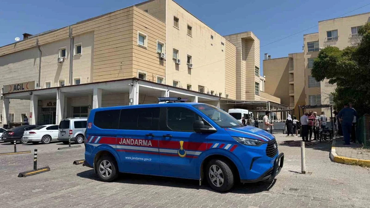 Şanlıurfa Siverek'te hayvan pazarındaki sopalı kavgada 1 kişi yaralandı