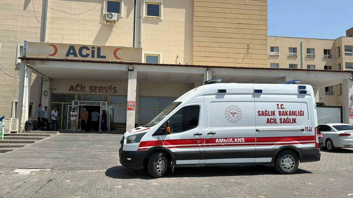 Şanlıurfa Siverek'te kontrolden çıkan otomobil şarampole girdi, 3 kişi yaralandı
