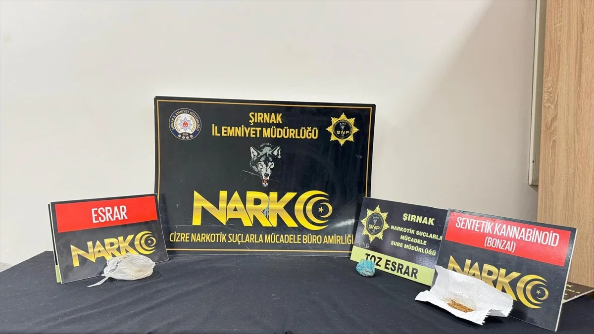 Şırnak'ta 180 sentetik ecza hapı ele geçirildi, 20 şüpheli hakkında işlem yapıldı