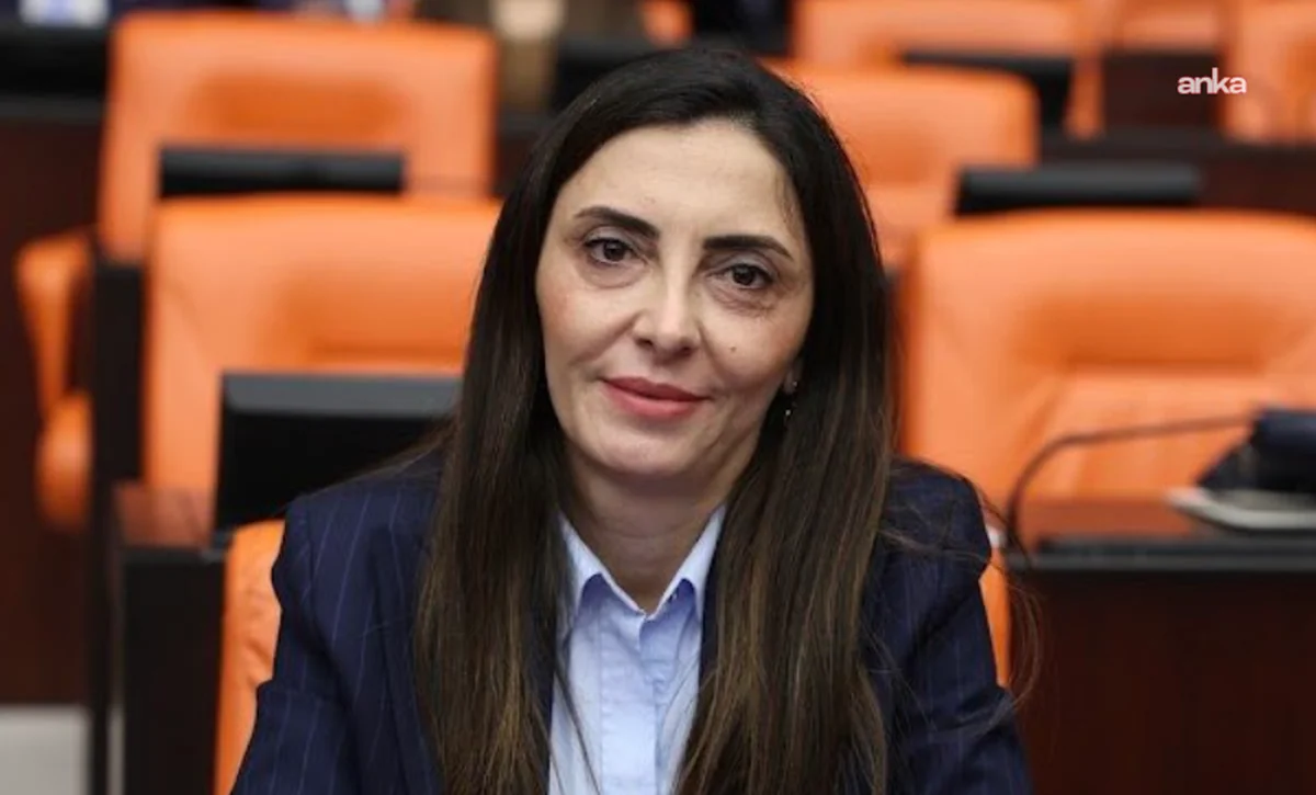 YENİ Partili Kayışoğlu, TÜİK ile ENAG arasındaki enflasyon farkına dikkati çekti