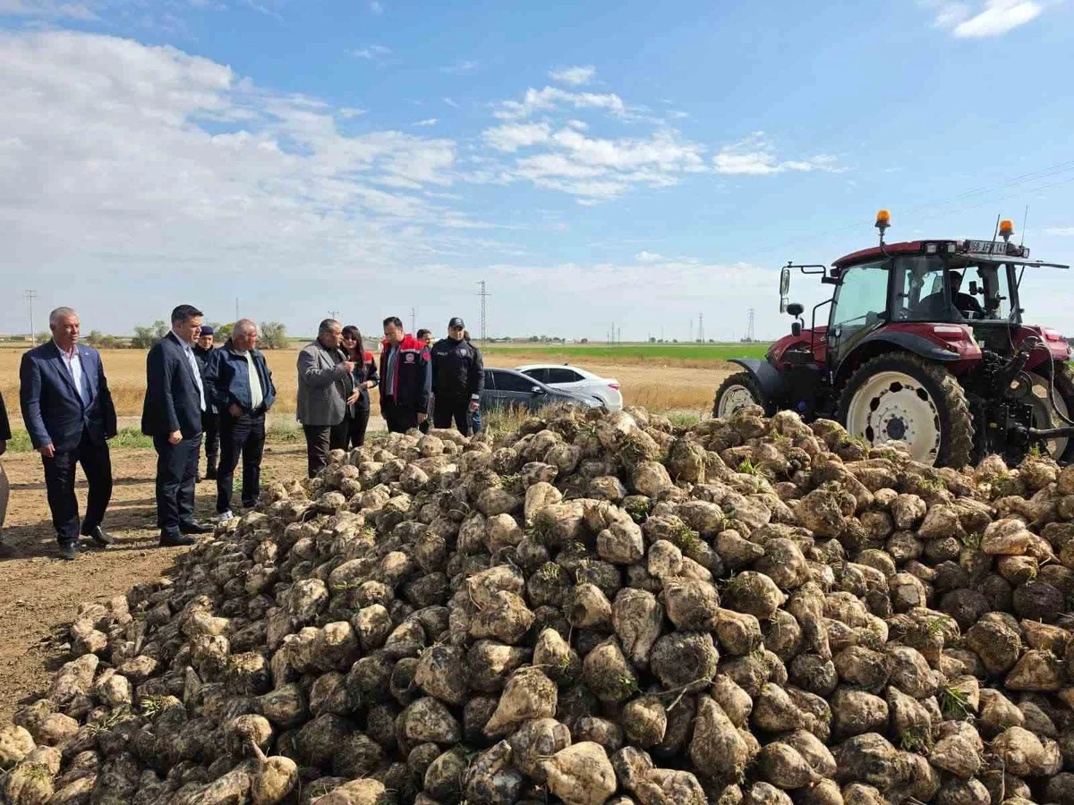 Aksaray Sultanhanı'nda şeker pancarı hasadı başladı, Kaymakam Yerlikaya bilgi aldı
