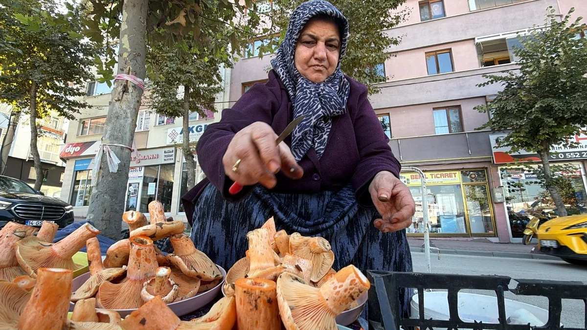 Ormana akın başladı! Kova kova topluyorlar, kilosu 600 TL'ye satılıyor