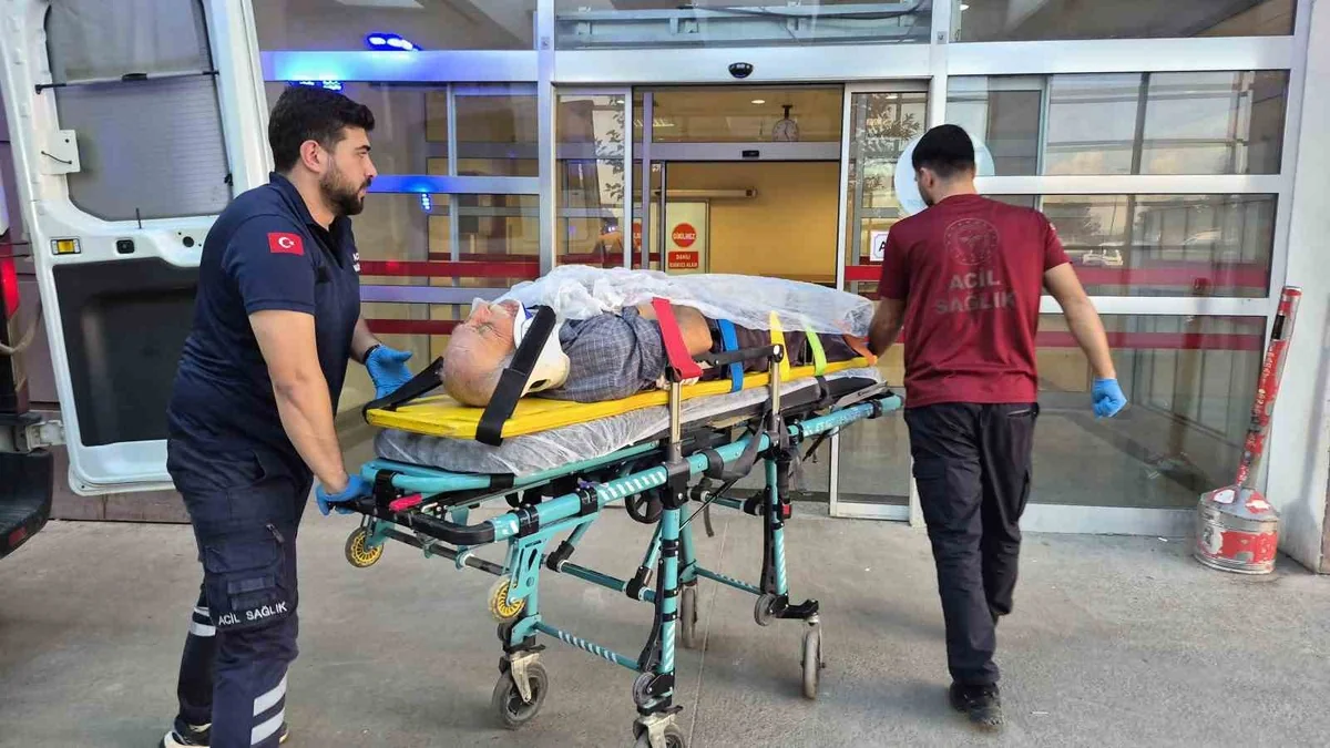 Adıyaman'da ağaç keserken düşen 70 yaşındaki kişi hastaneye kaldırıldı