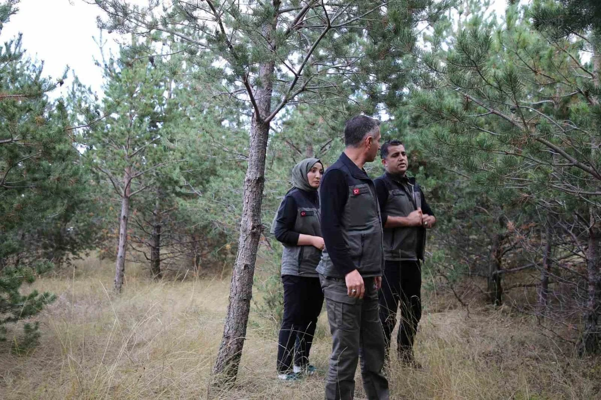 Erzurum Orman Bölge Müdürü, Kars'ta Millet Ormanı için incelemelerde bulundu