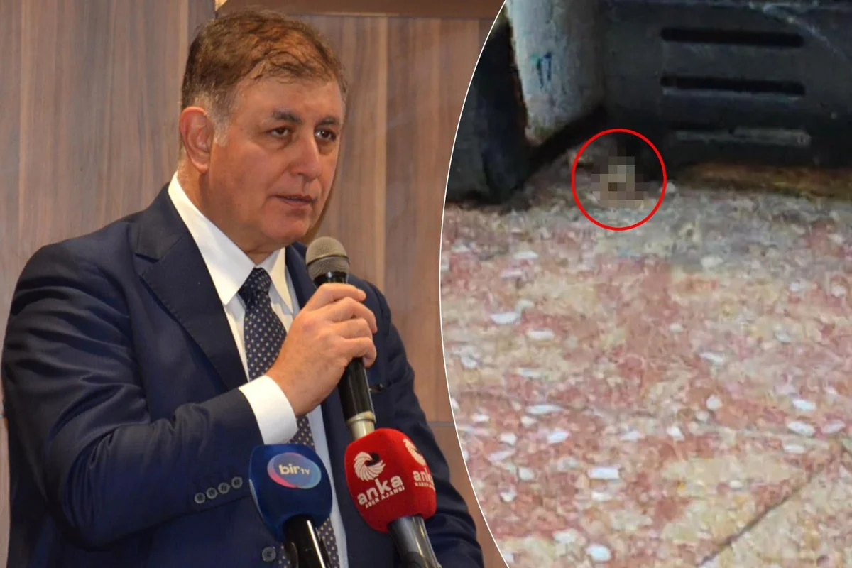 İzmir'de skandal görüntü! Videoyu izleyenler Cemil Tugay'ı etiketledi: Gerekeni yapın