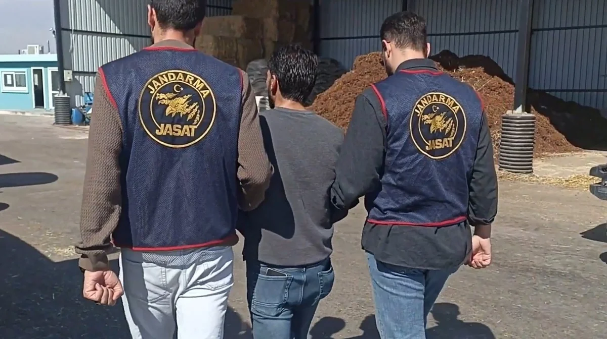 JASAT affetmedi! 10 yıl önceki ölümlü kazada gerçek ortaya çıktı
