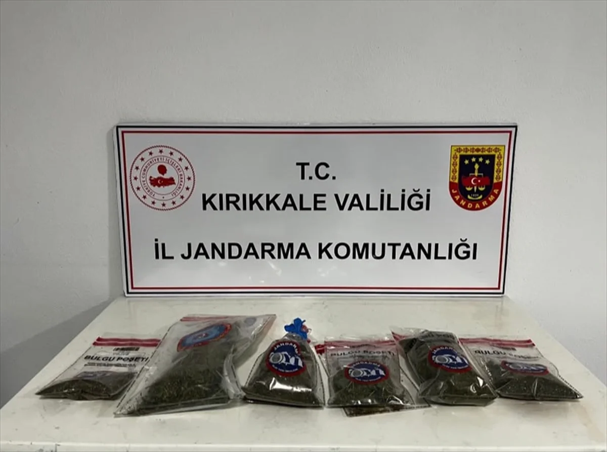 Kırıkkale'de 14 kök kenevir ele geçirilen operasyonda şüpheli gözaltına alındı
