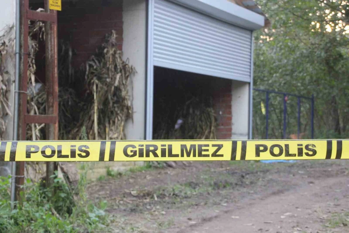 Ordu Korgan'da Ali Artça, 2 gün arayla öldürülen oğlu ve eşinin acısını anlattı
