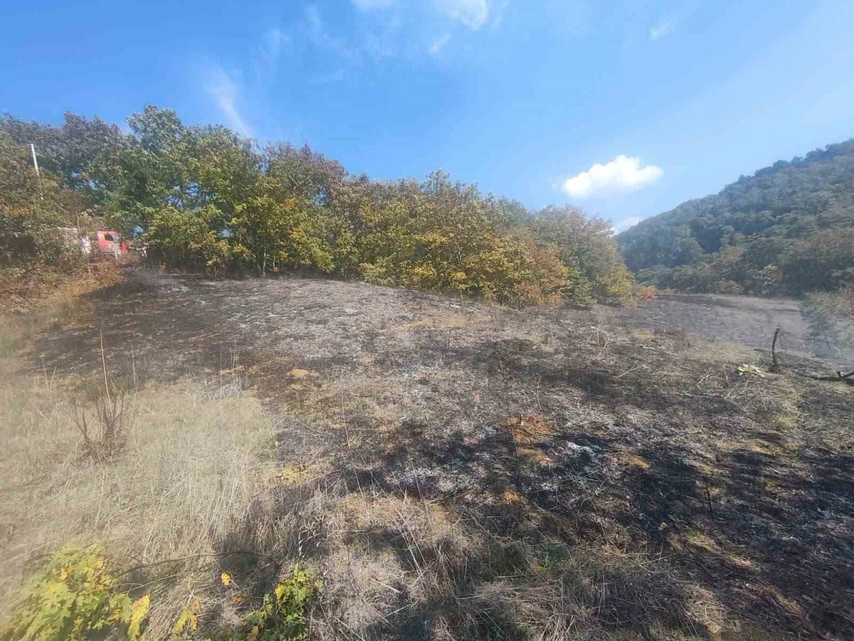 Bolu Mudurnu'da otluk arazi yangını itfaiye müdahalesiyle büyümeden söndürüldü