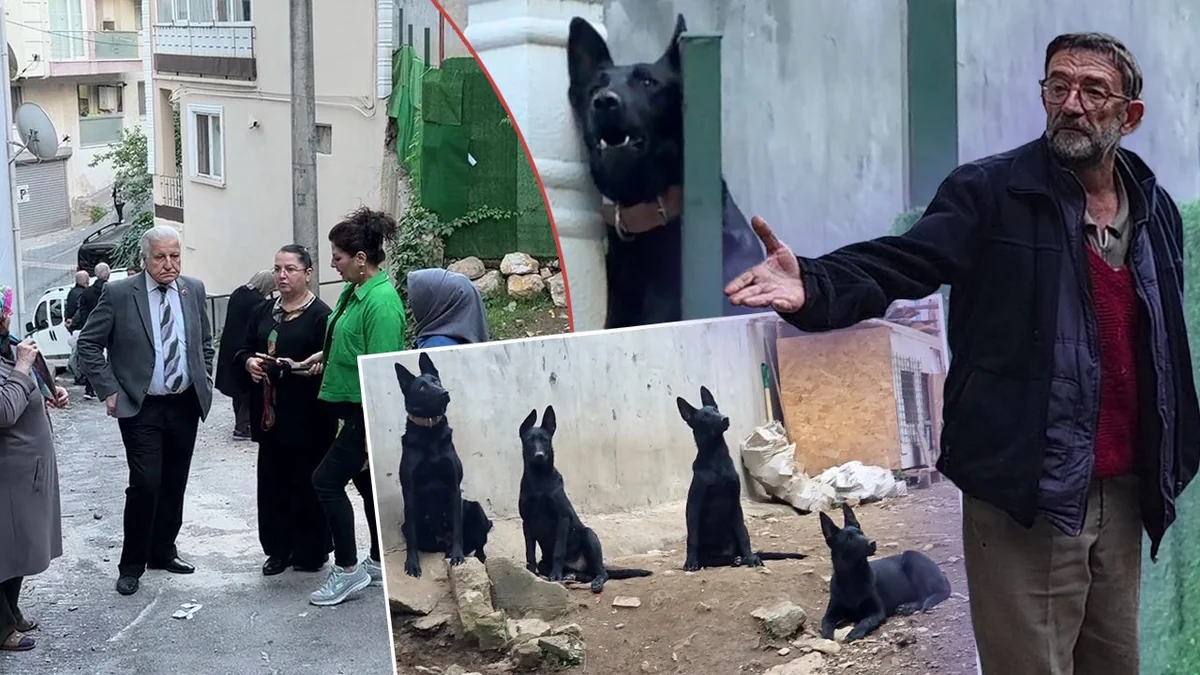 Mahalleli isyan etti, sahibi meydan okudu: Belediye de dokunamaz, kimse kaldıramaz!