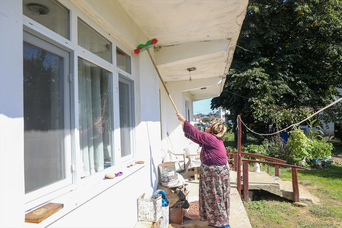 Sakarya Kocaali'de kahverengi kokarcaya karşı 5 mahallede toplu ilaçlama yapıldı