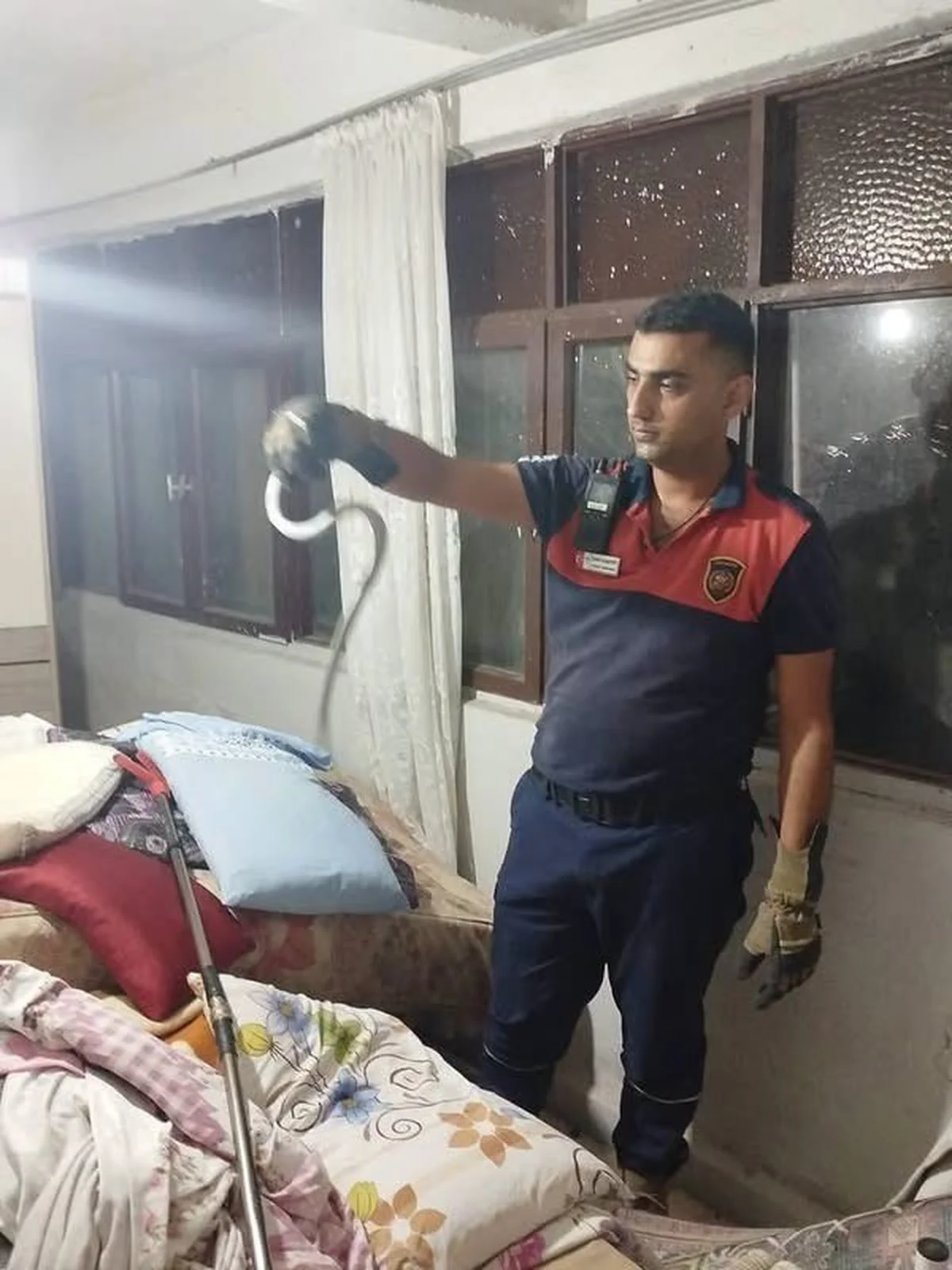 Hatay'ın Dörtyol ve Belen ilçelerinde yılanlar itfaiye ekiplerince doğaya bırakıldı