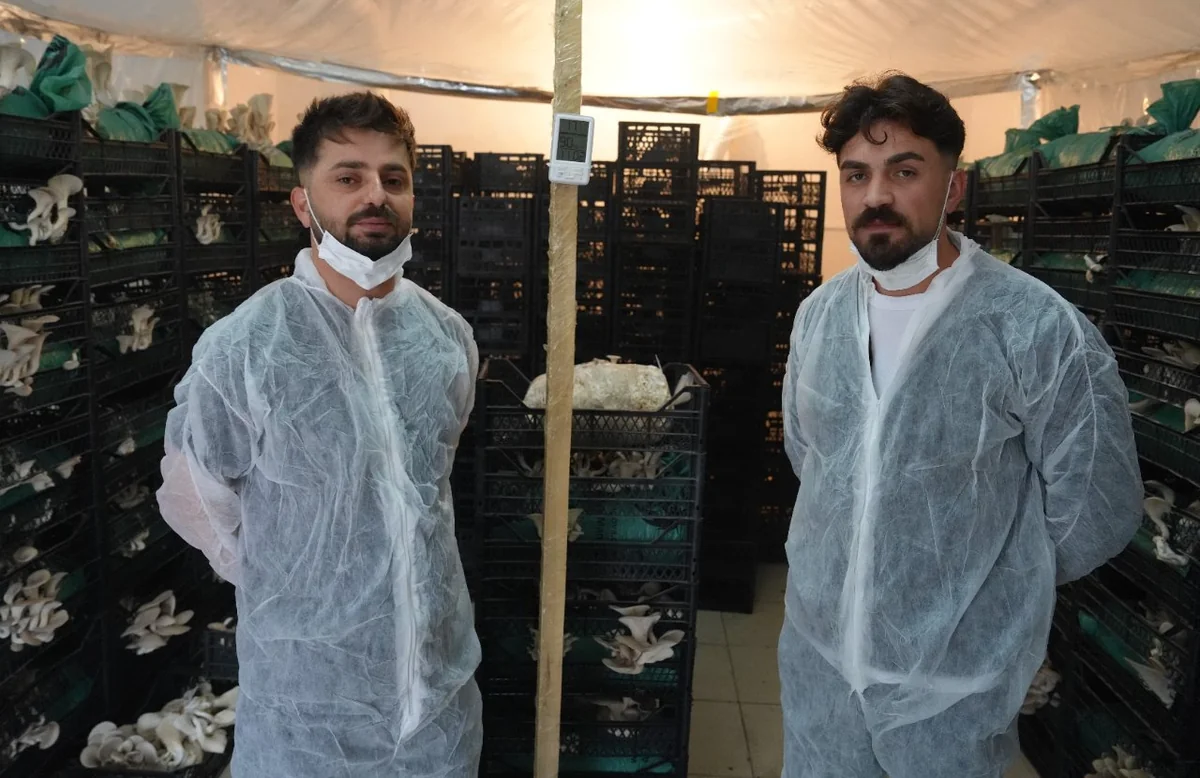 Tadı ete benziyor! Sepetleri hurdacıdan aldılar, 20 metrekarede üretime başladılar