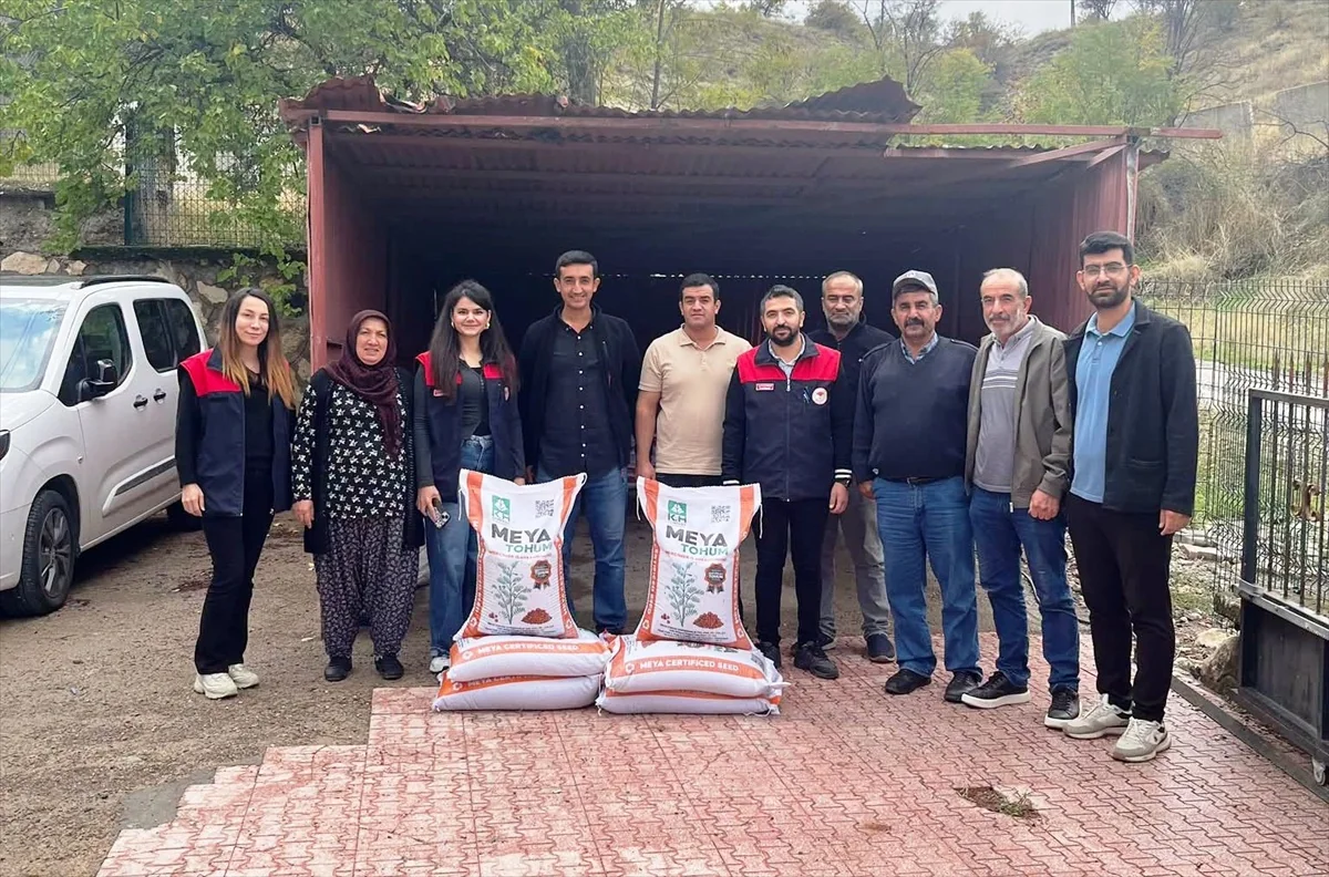 Ağınlı üreticilere yüzde 70 hibeli 2 ton kırmızı mercimek tohumu verildi