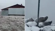 Kış erken geldi! Ankara'ya mevsimin ilk karı düştü