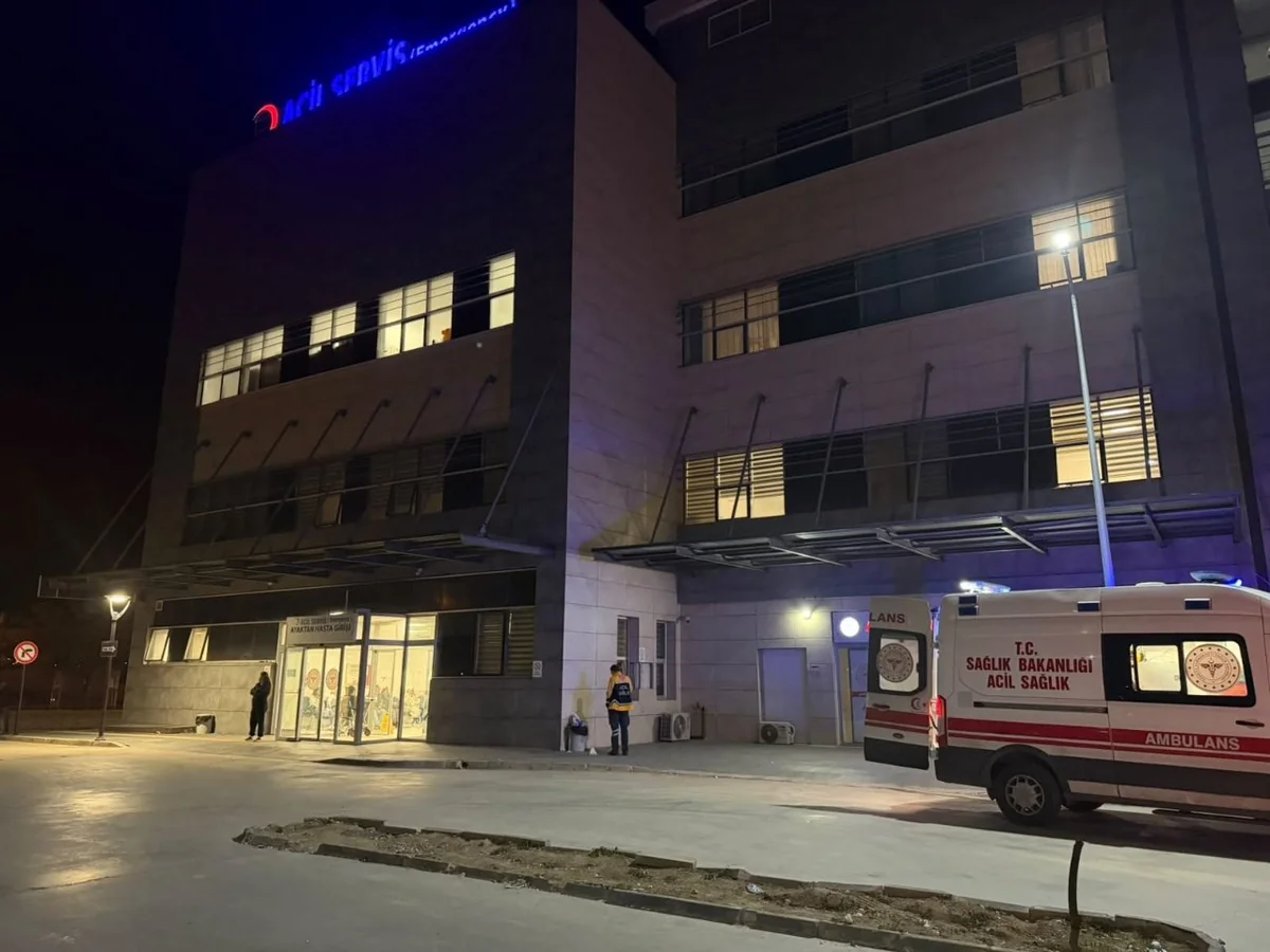 İzmirde otobüsten inen aileye panelvan çarptı! Karı koca öldü, oğlu ve torunu yaralandı